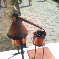 фото из отзыва ID 907155