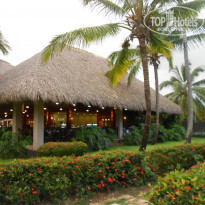 фото из отзыва ID 913869