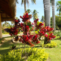 фото из отзыва ID 913869