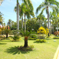 фото из отзыва ID 913869