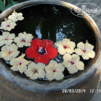 фото из отзыва ID 915155