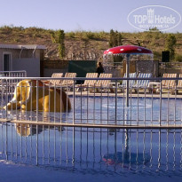 фото из отзыва ID 927657