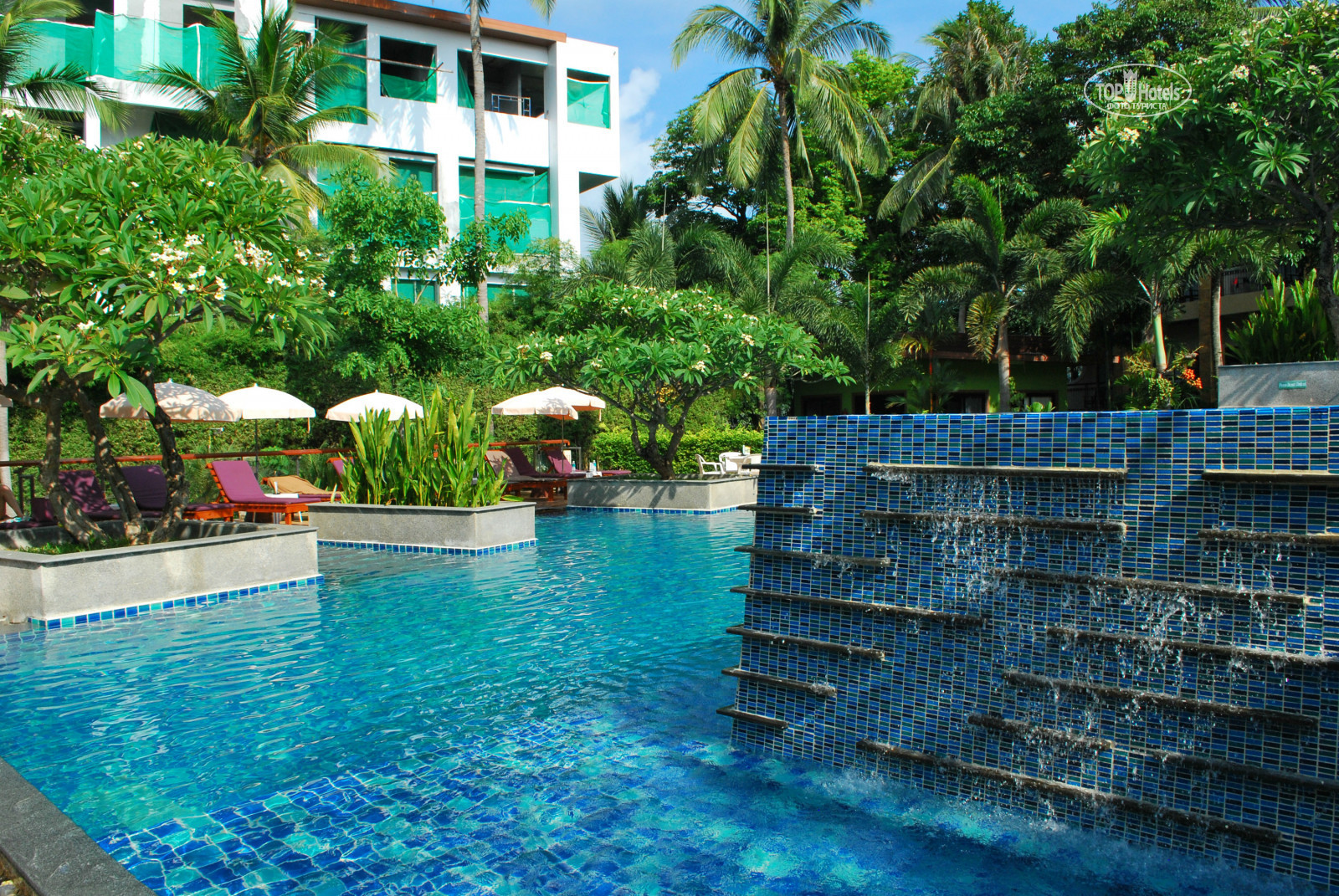 Peach hill resort phuket 4. Пич блоссом. Peach Blossom Resort 4. Peach Blossom 4*. Peach Blossom 5.