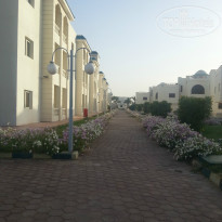 фото из отзыва ID 931597