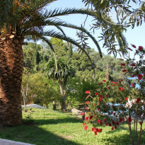 фото из отзыва ID 933174