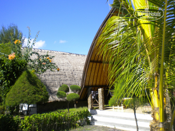 Фотографии отеля  Sandy Beach Bungalows 