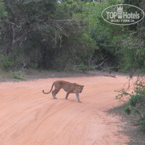 фото из отзыва ID 936593