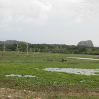 фото из отзыва ID 936593