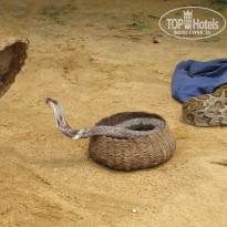 фото из отзыва ID 936593