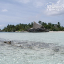 фото из отзыва ID 93727