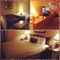 Best Western Plus Anaheim Orange County 3*