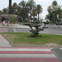 фото из отзыва ID 952931