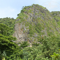 фото из отзыва ID 957447