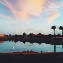 фото из отзыва ID 958119