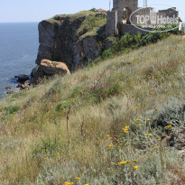 фото из отзыва ID 962855