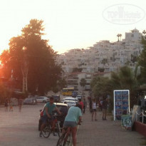 фото из отзыва ID 963619