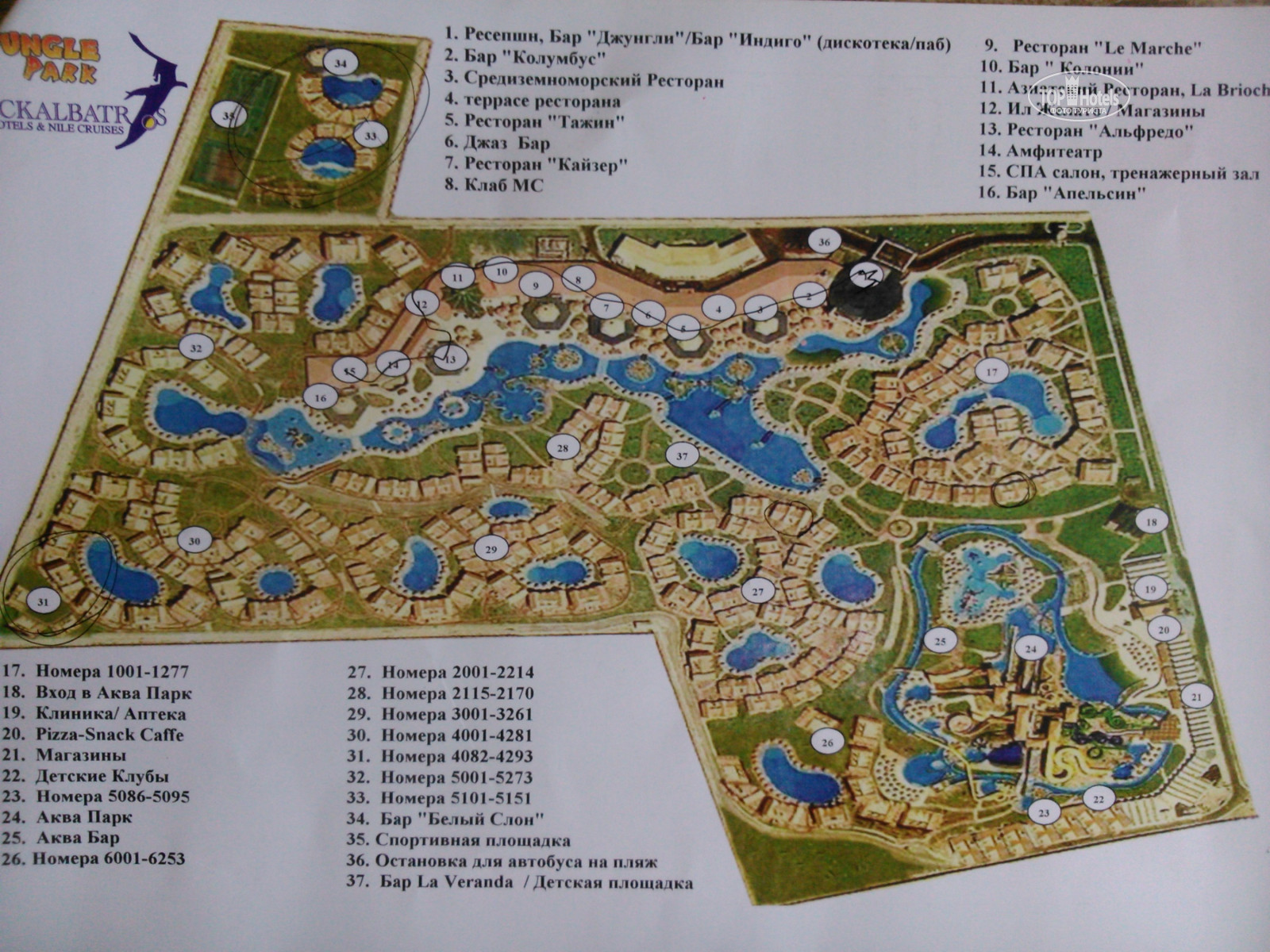 Jungle aqua park resort neverland 4