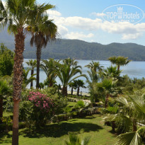 фото из отзыва ID 981133