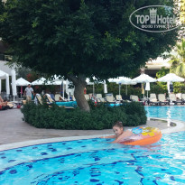 фото из отзыва ID 981943