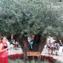 фото из отзыва ID 981943