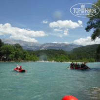 фото из отзыва ID 982027