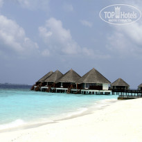 фото из отзыва ID 982639