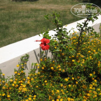 фото из отзыва ID 983240