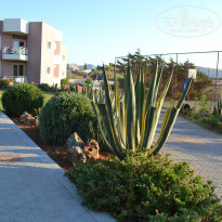 фото из отзыва ID 984011