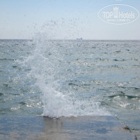 фото из отзыва ID 984946