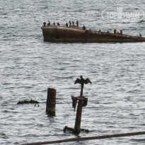 фото из отзыва ID 984946