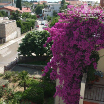 фото из отзыва ID 988302