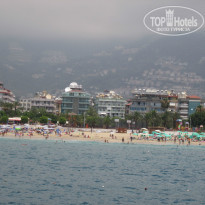 фото из отзыва ID 990134