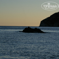 фото из отзыва ID 991625